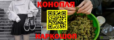 гашик Малгобек